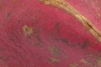 a close up of a red fruit